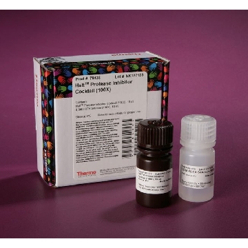 HALT PROTEASE INHIBITOR COCKTAIL (100X), 10 ML，78438，赛默飞世尔