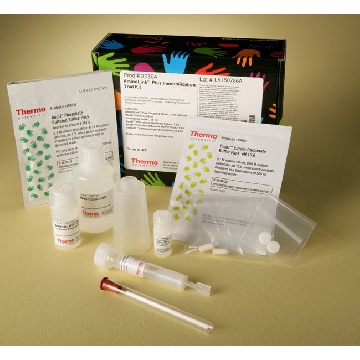 AMINOLINK PLUS IMMOBILIZATION TRIAL KIT，20394，赛默飞世尔