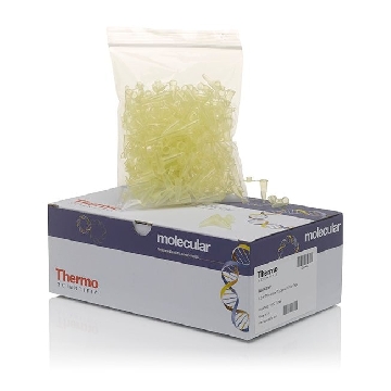 0.2ML FLAT CAP THERMO-TUBE, YE LLOW  (SOLD AS CASE OF 1000)，AB0620Y，赛默飞世尔