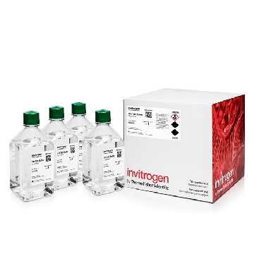 Transfer SKU 10X TBE BUFFER 4 X 1000 ML EACH，AM9865，赛默飞世尔