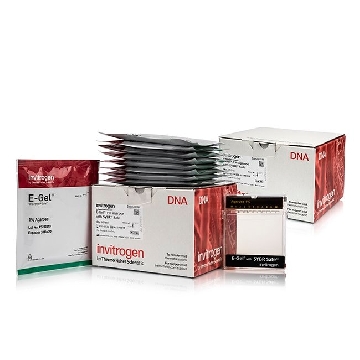 E-GEL SYBR SAFE 1% 20 GELS，A45202，Applied Biosystems