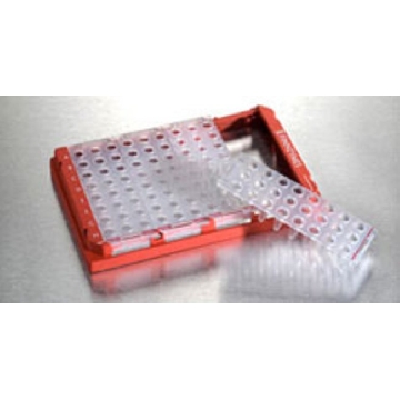 24-WELL SLIDETITER PIKO PCR PLATES WHITE，SPL0241，赛默飞世尔