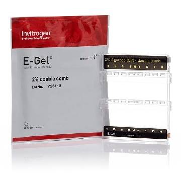 E-GEL DOUBLE COMB 2% 18-PAK 1 EACH = 18 GELS，G601802，Invitrogen