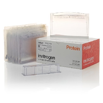 NP MIDI 3-8%TA 12+2W W/ ADPTR 1 KIT，WG1601A，Invitrogen