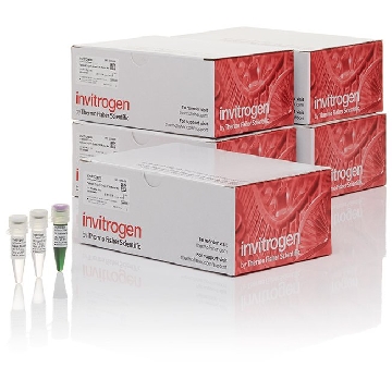 PLATINUM SUPERFI GREEN MM 2500 RXNS，12359250，Applied Biosystems