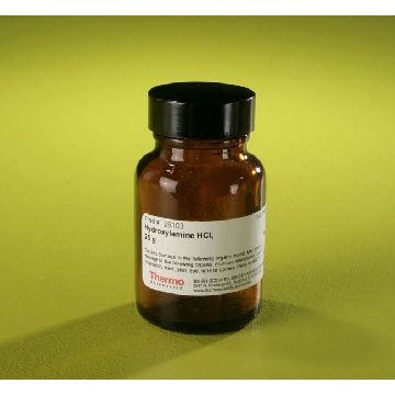 HYDROXYLAMINE HYDROCHLORIDE 25 GM，26103，赛默飞世尔