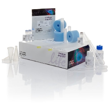 PACIFIC BLUE PROTEIN LABELING 1 KIT，P30012，Applied Biosystems