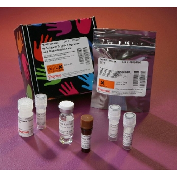 IN-SOLUTION TRYPTIC DIGESTION 90 DIGESTS，89895，赛默飞世尔