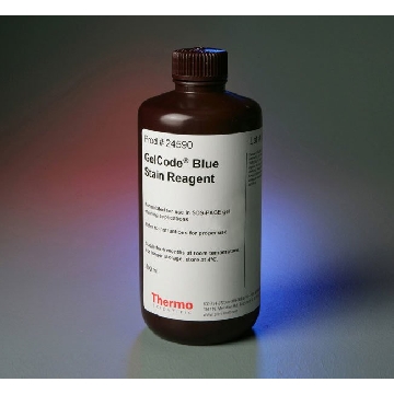 GELCODE BLUE STAIN REAGENT, 500 ML  (SEE ALSO #24592-3.5L)，24590，赛默飞世尔