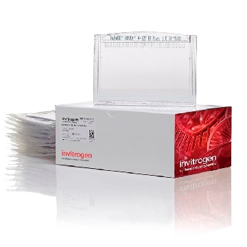 NP MIDI 4-12BT GEL, 20W BOX OF 10 GELS + MANUAL，WG1402BOX，Invitrogen