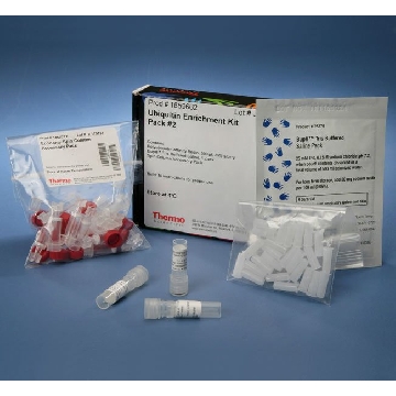 UBIQUITIN ENRICHMENT KIT 15 REACTIONS，89899，赛默飞世尔