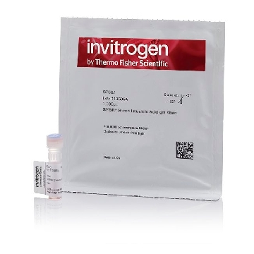 SYBR GREEN I NUCLEIC A 20 X 50 UL，S7585，Applied Biosystems