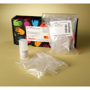 SDSOUT  SODIUM DODECYL SUL FATE PRECIPITATION KIT，20308，赛默飞世尔