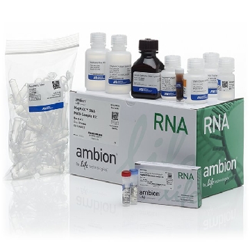 MAGMAX DNA MULTISAMPLE KIT 50RXN，4413020，Applied Biosystems