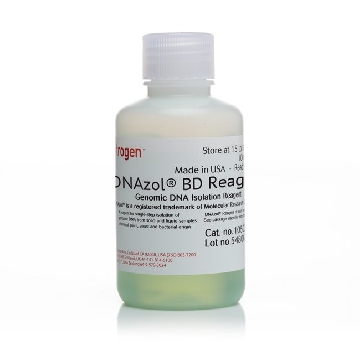 DNAZOL-BD 100ML，10974020，Invitrogen