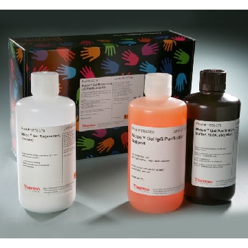 MELON GEL MONOCLONAL IGG PURIFICATION KIT，45214，赛默飞世尔