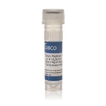 SPHEROID QUALIFIED HEPATOCYTES 1.5ML/VIAL，HMCPSQ，赛默飞世尔