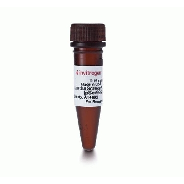 LANTHASCREEN TB-ANTI-LRRK2 AB 100 UG，A14693，Invitrogen