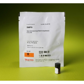 SUCCINIMIDYL 4-(P-MALEIMIDOPHE NYL)BUTYRATE，22416，赛默飞世尔