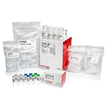 5X MSGAMP(TM)BIOTIN ENHANCED 100RXN.2PT，AMB17915，Applied Biosystems