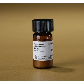 L-LYSINE-2HCL, 500 MG EA，88429，赛默飞世尔