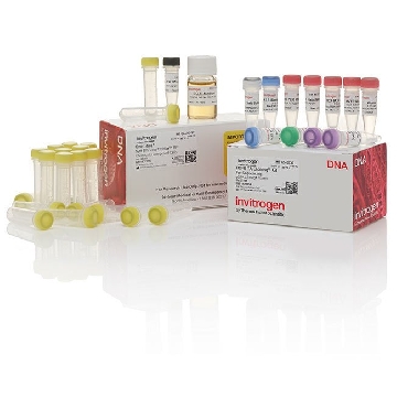 TOPO TA/ SEQ/ DH5A (25) 25 RXN，K459501，Invitrogen