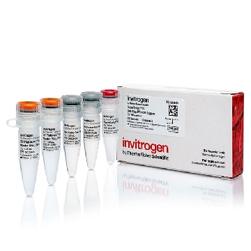 SUPERSCRIPT IV 1-STEP SYSTEM 100 RXNS，12594100，Invitrogen