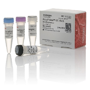 ACCUPRIME GC-RICH POLYMERASE 1000 RXNS，12337024，Invitrogen