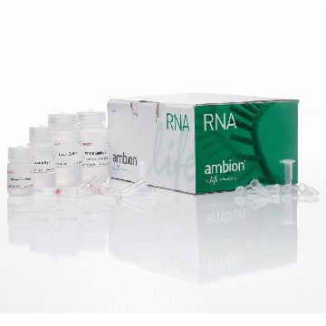 PURELINK RNA MINI KIT 250 1 EA = 250 PREPS，12183025，Invitrogen