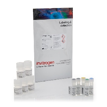 FLUXOR 2 GR POTASSIUM 2 PL 1 KIT，F20015，Invitrogen