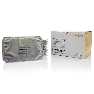 PB SELECT TRANSFER NC REG 4X 4 PK，PB3340，Invitrogen