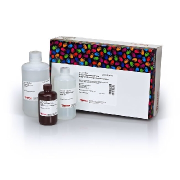 PIERCE REVERSIBLE PROTEIN STAIN KIT (FOR NITROCELLULOSE，24580，赛默飞世尔