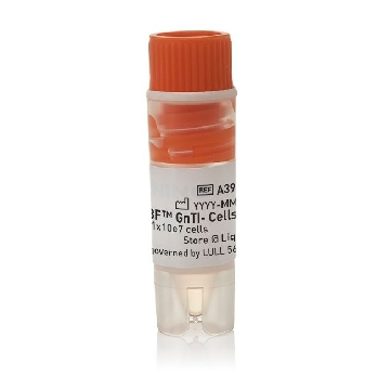 EXPI293F GNTI MINUS CELLS EA，A39240，赛默飞世尔
