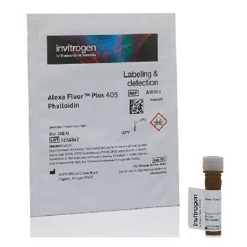 Probes AF+ 405-PHALLOIDIN 300 UNITS，A30104，赛默飞世尔
