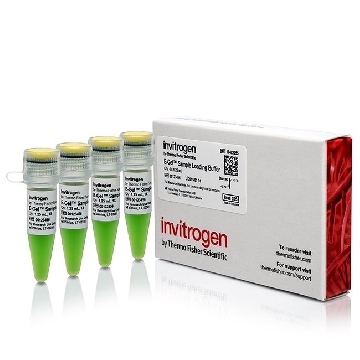 Transfer SKU E-GEL SAMPLE LOADING BUFFER. 4 X 1.25ML，10482055，赛默飞世尔