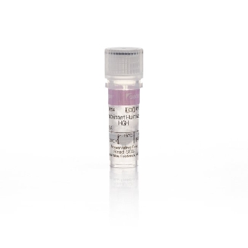 REC HU HGH, 10UG 10 UG，PHH0014，Invitrogen