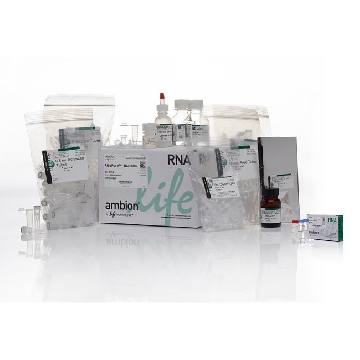 RIBOPURE -BACTERIA 1 KIT (2 PARTS)，AM1925，Applied Biosystems