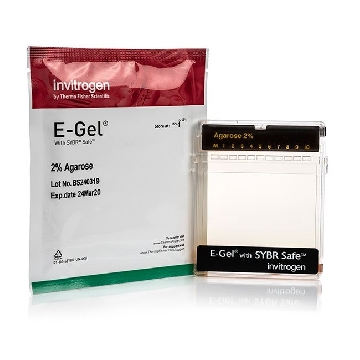 E-GEL SYBR SAFE 2% 10 GELS，A42135，Applied Biosystems