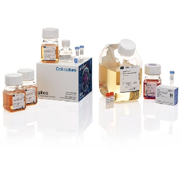 EXPICHO EXPRESSION SYSTEM KIT EA，A29133，Invitrogen