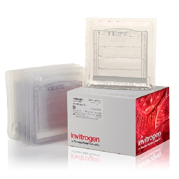 10% TBE-UREA GEL 1.0MM 15W 10 PER BOX，EC68755BOX，Invitrogen