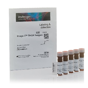 Probes IMAGE-IT TMRM REAGENT 5 X 100UL，I34361，赛默飞世尔