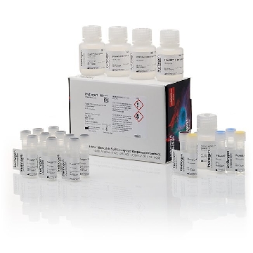FLUXOR 2 GR POTASSIUM 10 PL 1 KIT，F20016，Invitrogen