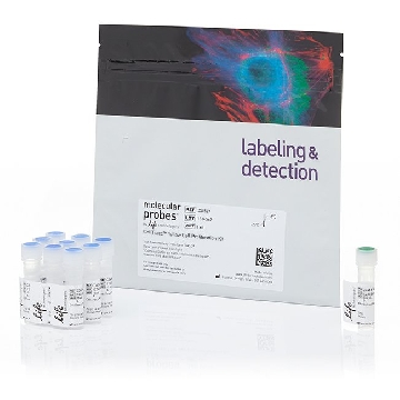 CELLTRACE YELLOW 1 KIT，C34567，Invitrogen