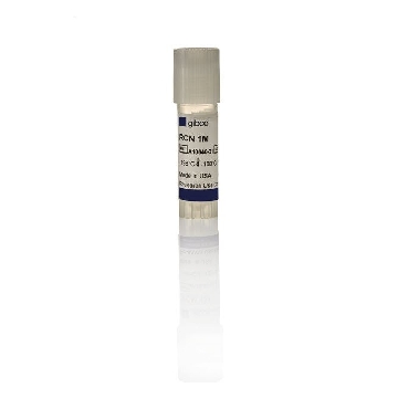 RCN 1M CELLS/VIAL EA = 1.0 ML/VIAL，A1084001，Invitrogen