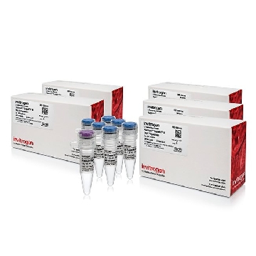 PLATINUM SUPERFI II DNA POL 2500 RXN，12361250，Applied Biosystems