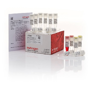 ANZA 10-PK STARTER KIT EA，IVGN3006，Invitrogen