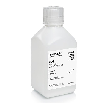 Transfer SKU 10% SDS SOLUTION 500 ML EACH，AM9822，赛默飞世尔