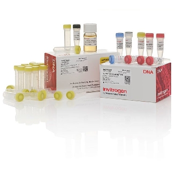 TOPO TA/ DH5A (50) 50 RXN，K452040，Invitrogen