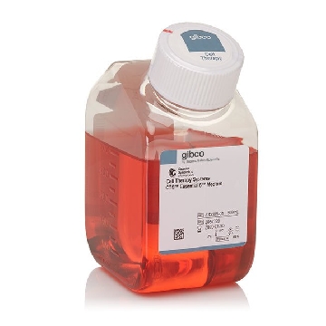 CTS ESSENTIAL 6 MEDIUM 500 ML，A4238501，Applied Biosystems