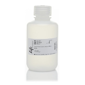 FOXP3 TRAN FACTOR WASH BUFFER 100 ML，A24261，Invitrogen